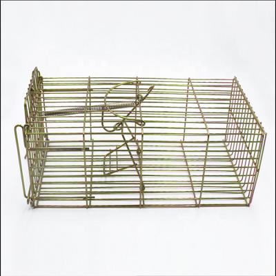 China Not applicable animal trap for chipmunk, squirrel, rat, and weasel, Colapsible Steel Animal Trap Cage Trusted Quality for sale