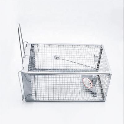 China Large 2-Door Safe Release Not Applicable Humane Live Animal Cage Trap for Raccoons, Possums, Groundhogs for sale