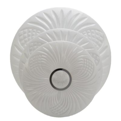 China Modern Quality Assurance Luxury Kitchen Round Sound Light Outdoor Mounted Fit Ceiling for sale