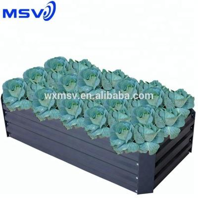 China Easily Assembled Plastic Mini Greenhouse for sale