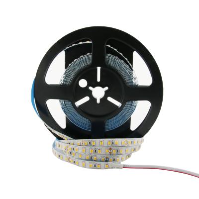 China Lighting DC12V DC24V 120Leds LANDSCAPE Light 2835 SMD LED Chip Module Flexible Flex Strip Per Meter for sale