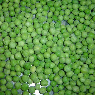 China IQF Kornel Frozen Soybeans for sale