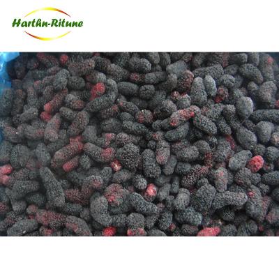 China FROZEN delicious frozen blackberry and frozen fruit from direct factory for sale