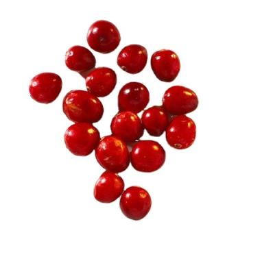 China IQF Dried Lingonberry Fruit Berries for sale