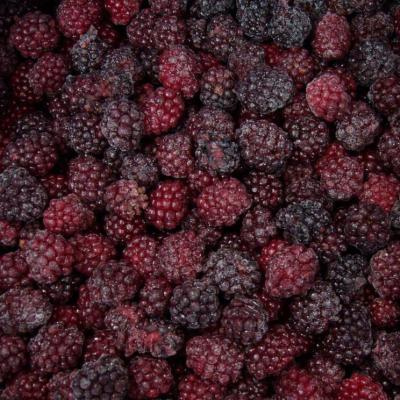 China IQF Frozen Blackberry FROZEN IQF for sale