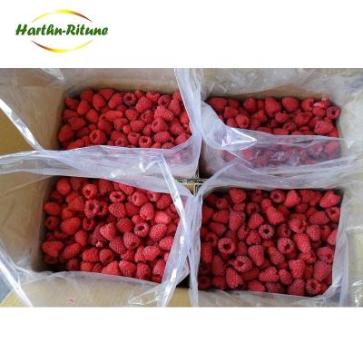 China Factory Supply JELLY IQF Frozen Raspberry Crisp for sale