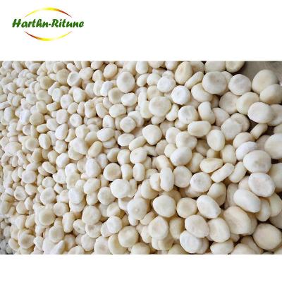 China IQF FROZEN Frozen Water Chestnut for sale