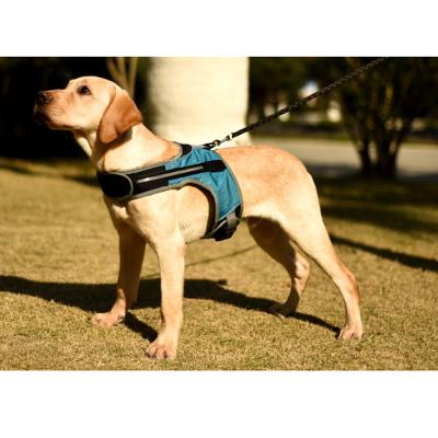 China Viable Factory Wholesale Luminous Dog Chest Vest Dogs At Night Pet Moving Products for sale