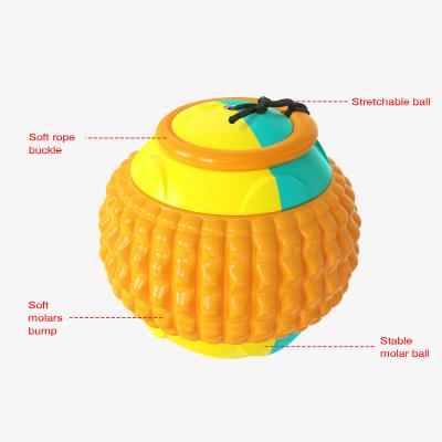 China Funny Throwing Pet Toys Pet Intelligence Dog Ball Toy IQ Exercise Training Sounding Toys for sale