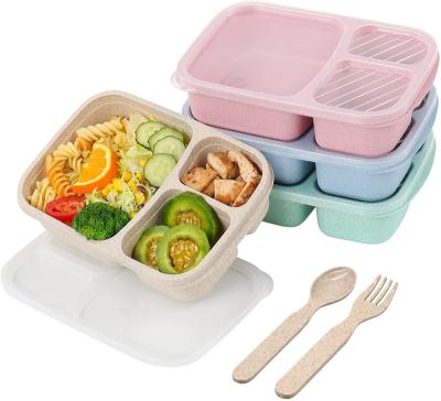 China Double-Layer Lightweight Microwavable Biodegradable Bent Food Storage Container Children's Lunch Box for sale