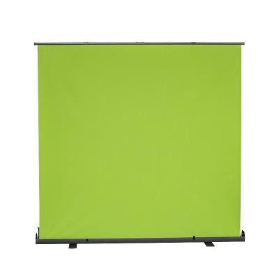 China Portable backdrop photography video a retractable green screen green screen backdrop photographic background for sale