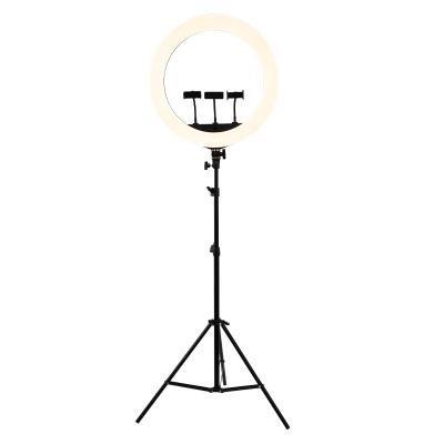 China Fashional Tripod Ring Light 21 inch Dimmable LED Ring Light 3200K/6000K 72W Photography Light with Tripod for sale