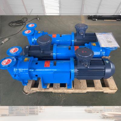 China Food and Beverage Industry Water/liquid Ring Vacuum Pump 2bv2060/2061/2070/2071/5110/5111/5121/5231/5161 for sale