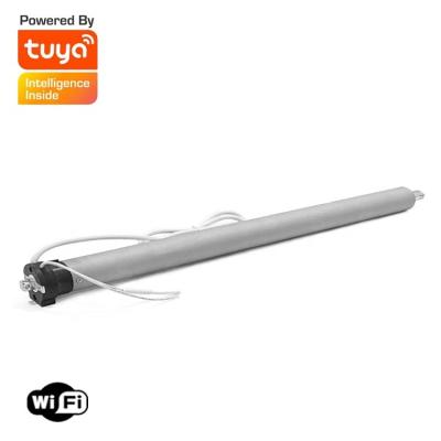 China Wholesale Minimalist Home Motorized Roller Zebra Blinds TUYA Intelligence Tubular Curtain Motor for sale