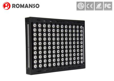 China Outdoor LED Sports Lighting Area Floodlight 300-1000 Watt 5 Yrs Warranty for sale