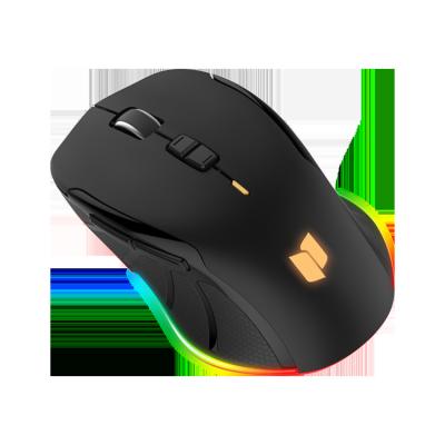 China Wired and Wireless Gaming Mouse Customize 16.8 Million RGB Lights String Mouse Programmable Gaming Mouse with 10,000 Resolution for sale