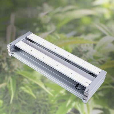 China Pg480W-C6 450W Ac90-305V 6 Sets Module American Smd2835 3500K Osr 660Nm Ppf 1300Umol/J Etl Seed Full Spectrum To Grow Light for sale