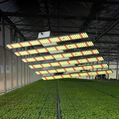 China Etl FCC 600W 1000W Full Spectrum Vertical Starting Seed Grow Systems Adjustable Foldable Dimmable Grow Herbal Led Grow Light for sale