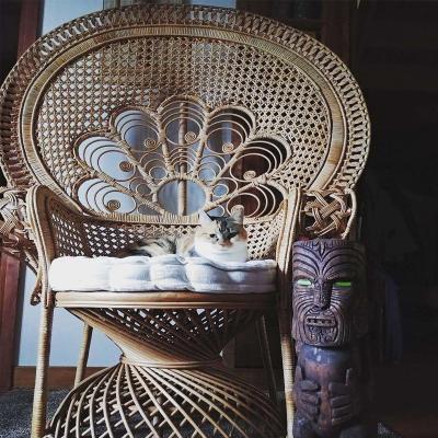 China Indonesia Furniture Peacock Rattan Wicker Adult Large Chair Victorian Natural Indoor Products for sale