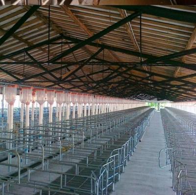 China Durable Individual Stall Gestation Stall For Pig Farm Equipment for sale