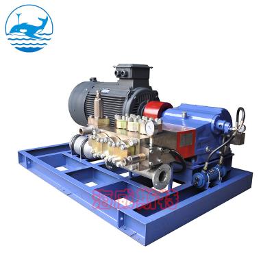 China Plunger Piston Pump High Pressure Water Blaster for sale