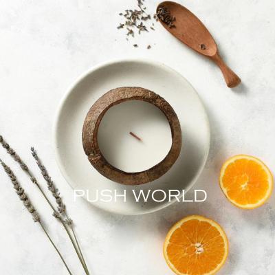 China High Quality Viable Coconut Shell Candle With Wood Wick from Shell Bowls Candle Soy Wax Nature's Coconut for sale