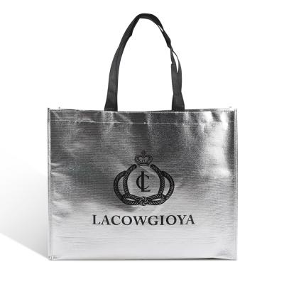 China Custom Logo Design Guangzhou Factory Money Gift Bag Handled Non Woven Portable Shopping Bag for sale