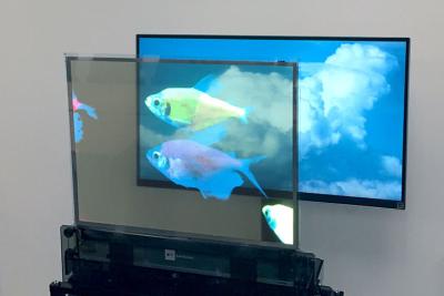 China OLED-Bildschirm mit hoher Helligkeit Transparentes Display, Farbklares OLED-Bildschirm Mehrzweck zu verkaufen