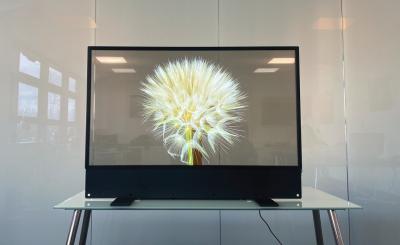 China Hochauflösende OLED-Transparente Anzeige Durch OLED sehen zu verkaufen