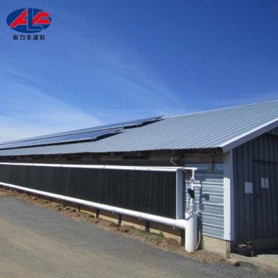 China Low Cost Steel House Low Cost Poultry Shed Griller Poultry Farm House Design Egg Chicken Housing Construction For Layers for sale