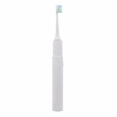 China Ur Clean Teeth Easy Carry Travel Waterproof Private Label Led Sonic Wholesale Smart LED Light Electric Toothbrush for sale