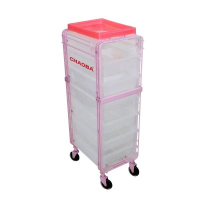 China Modern Professional Trolley Trolley Modern Professional Salon Furniture Beauty Trolley Beauty Trolley Premium Quality for sale