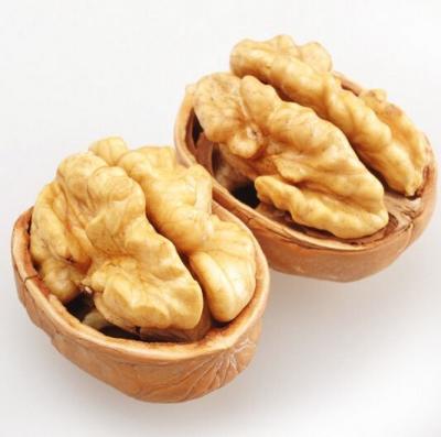 Κίνα Snack on These Walnut Snacks with 5% Max Broken Kernel from Packaging Workshops προς πώληση