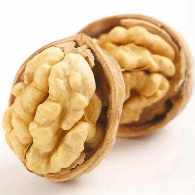 China New Crop Organic Bulk Wholesale Paper Walnut China Top Nuts and Dried Fruits Raw Paper Dried Garcinia Fruit 3% Max 5% for sale