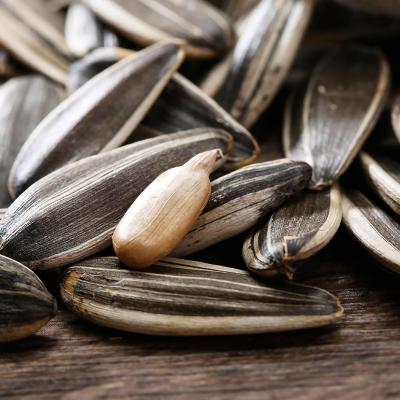 China Sunflower Seeds T6 The Perfect Snack for Your Customers' Satisfaction for sale