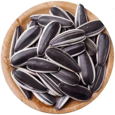 China organic sunflower seeds with cheap price in 2024 from factories in China Hot sale 361 363 5009 3638 T5 for sale