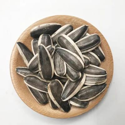 China Sunflower Seeds T6 The Perfect Snack for a Balanced and Healthy Diet à venda