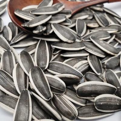 China Sunflower Seeds 5009 The Ultimate Snack for Health-Conscious Buyers for sale