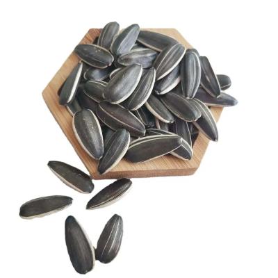 中国 Get Your Daily Dose of Nutrients with Roasted In-Shell Sunflower Seeds 5009 販売のため