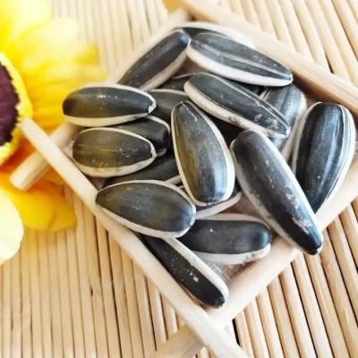 China Sunflower Seeds 5009 The Perfect Match for Your Customer Requirements for sale