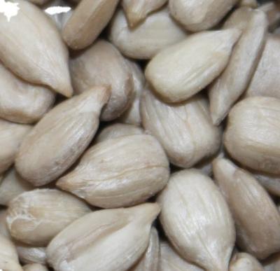 Cina Sunflower Seeds Kernel within 99.9% min. for Sunflower Kernel in vendita