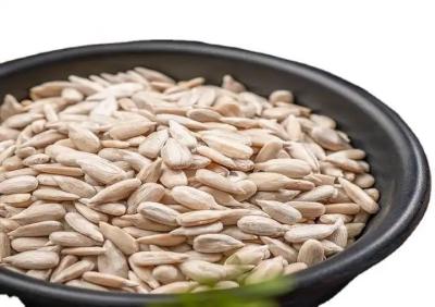 China Sunflower Kernel Superior Sunflower Seeds Kernel for Your Business Needs for sale