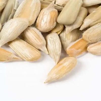 China High quality confectionery grade and barkey grade sunflower seed kernel for snack with cheap price for sale