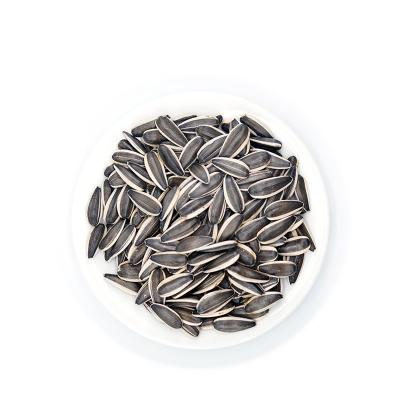 Κίνα Sunflower Seeds T6 Perfect for Your Business προς πώληση