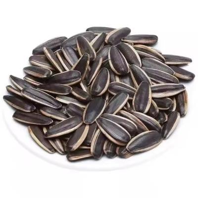 Cina T6 Sunflower Seeds A Delicious and Healthy Snack for Busy B2B Professionals on the Go in vendita