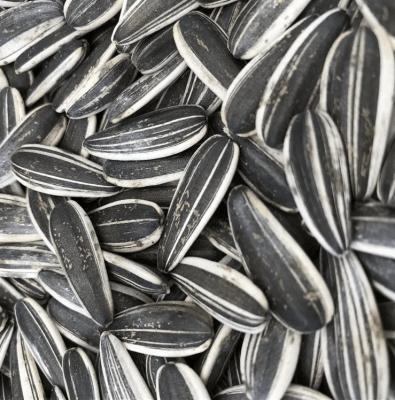 China Sunflower Seeds S3 The Perfect Combination for B2B Requirements en venta