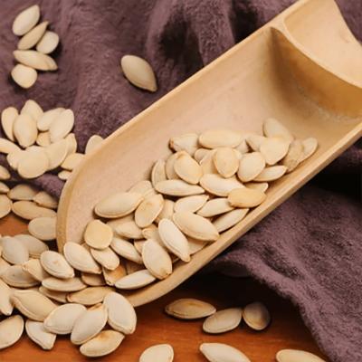 China Inner Mongolia's Finest Grilled Polished Rind Pumpkin Seeds Newest Crop zu verkaufen