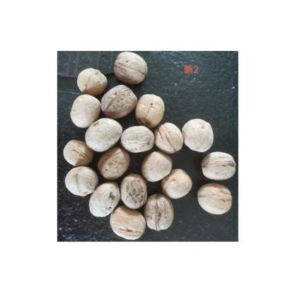 China China Factory Wholesale New Product Washed Walnut 185 With Cheaper Price and High Quality for sale