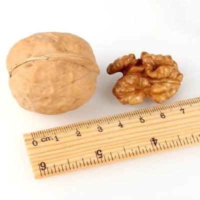 China Las nueces crudas en la cáscara bolsas a granel resealable para la frescura máxima las nueces enteras para un refrigerio saludable en venta