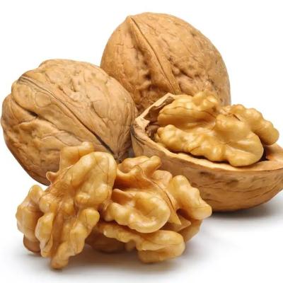 China Naturals Walnut Halves & Pieces 1 lb, 100% XinJiang Unsalted Walnuts for Baking for sale